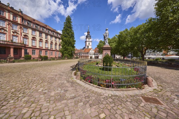 Monument to Count Franz, church tower of the Erbach town church, Erbach Castle, trees,