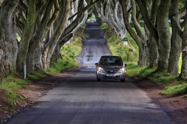 Car drives through famous avenue of beech trees, The Dark Hedges, tunnel avenue, mystical film set,