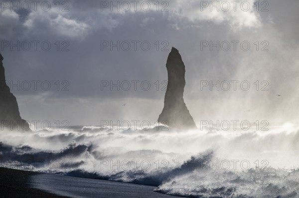 Rock needle in stormy surf, Vík í Mýrdal, Suðurland, Iceland, Europe