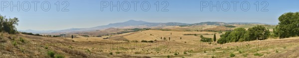 Typical Tuscan landscape in Val d'Orcia with hills, trees, fields, cypresses and farm road in