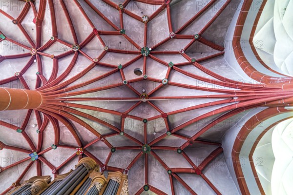 Star vault in the interior of the Catholic parish church of St Martin in the Ediger district,