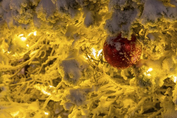 Red ball between snow-covered branches illuminated with fairy lights, still life
