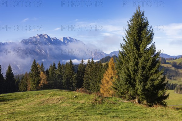 View from the Moosegg high plateau to the Hoher Göll, Golling, Osterhorn group, Salzburg province,