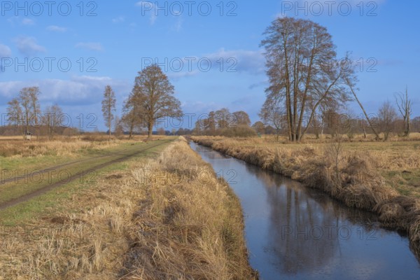 View of the vegetation along the Fangegraben and cycle path at the Steinhuder Meer, ditch, trees,