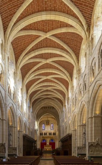 Vaulted roof ceiling interior of Buckfast abbey church, Buckfast Abbey, Devon. England, UK