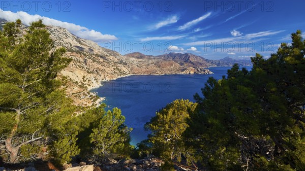 Wide view of the sea with mountains in the background and dense pine trees in the foreground under