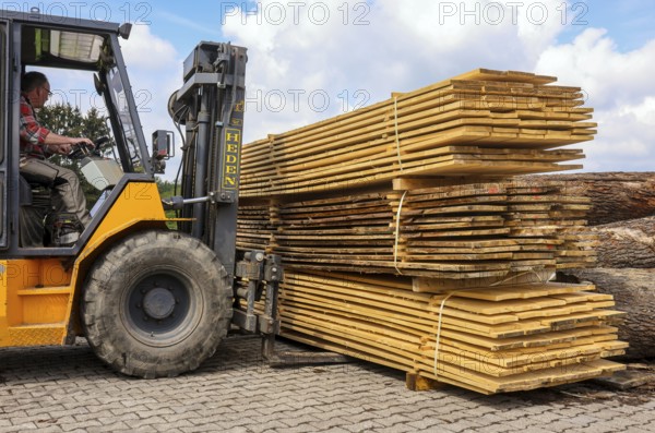 Solingen, North Rhine-Westphalia, Germany - Spruce logs are processed into construction timber,