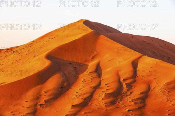 Sand dunes formed by the wind, at sunrise, in the Rub al Khali desert, Dhofar province, Arabian
