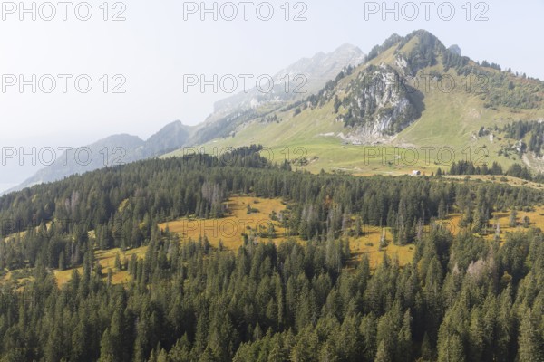 View of the Hinter Höhi moorland in autumn colours, in the background the mountain range with the