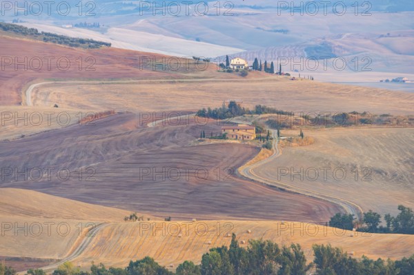 Typical Tuscan landscape in Val d'Orcia with hills, trees, fields, cypresses and farm road in