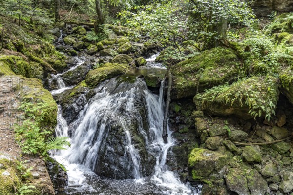 Waterfall in the Ravenna Gorge near Breitnau, Black Forest, Baden-Württemberg, Germany, Europe