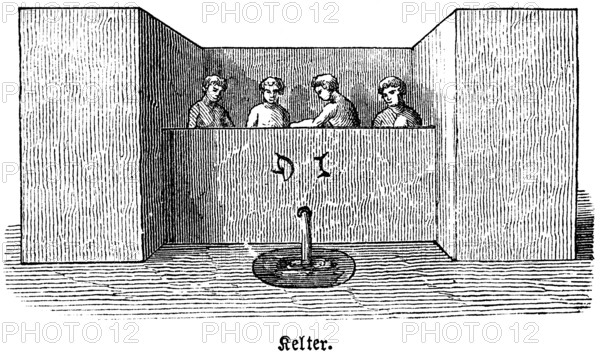 Four slaves treading grapes to make juice, wine press made of stone or wood, pressing, wine,