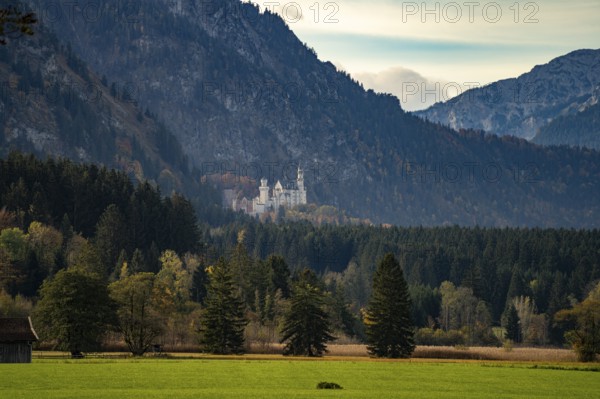 Neuschwanstein Castle in the landscape of Schwangau, Allgäu, Bavaria, Germany, Europe