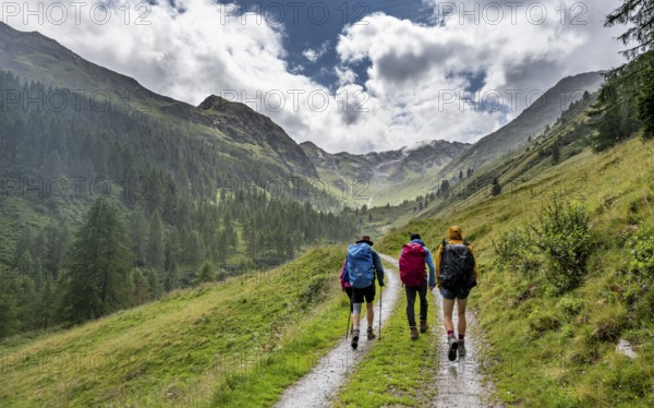 Mountaineer on a forest path in Mullitztal, ascent to Lasörlinghütte from Virgental,