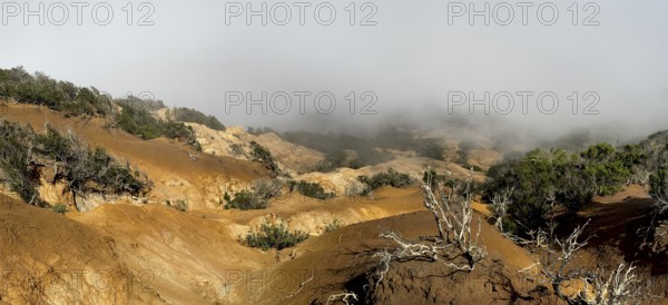 Clouds of fog, yellow earth, erosion, near Arguamul, La Gomera, Canary Islands, Spain, Europe