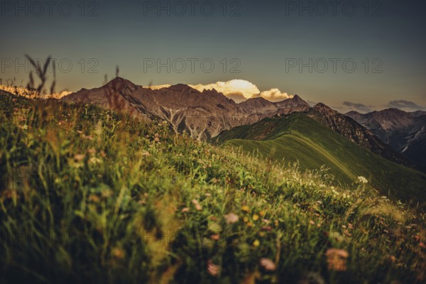Hiking tour on the Hönig mountain in the Lechtal valley near Berwang in Tyrol, Austria, Europe