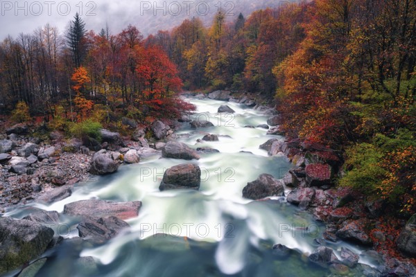 Verzasca river lined with autumn-coloured deciduous trees, rainy and foggy Verzasca valley, Canton