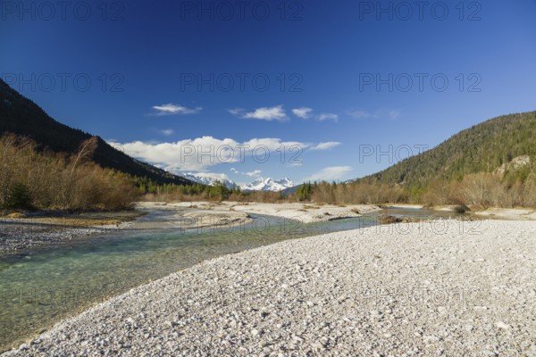 Isar valley nature conservancy area on an early sunny morning. The wild Isar river flows through
