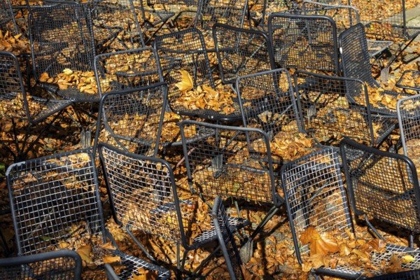 Metal wire frame chairs standing in autumn leaves, Baden-Württemberg, Germany, Europe