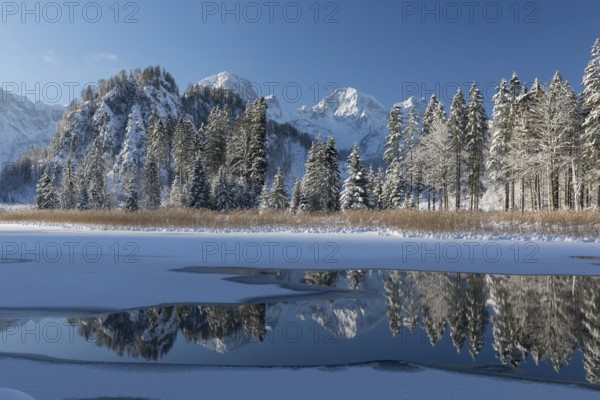 Ameisstein (776 m) mountain at the Lake Almsee in winter. The lake is frozen and snow covered,