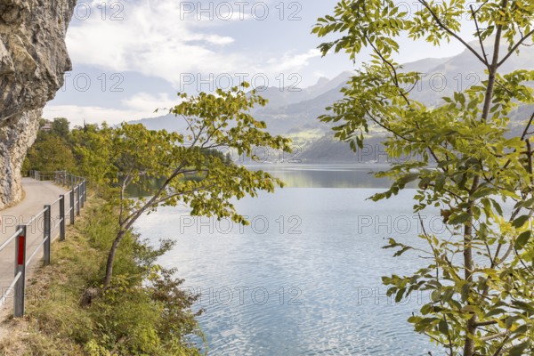 Path with a view along the steep rock faces on the northern shore of Lake Walen, Amden, St. Gallen,