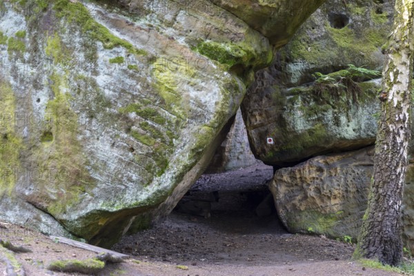 Rocky landscape at the Diebskeller or Götzinger Cave at the Kleiner Bärenstein, Thürmsdorf,