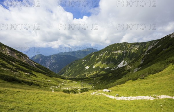 Hiking trail from the Angerkaralm to the Gamsfeld, Russbach, Osterhorngruppe, Salzkammergut,