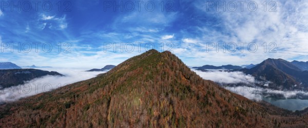 Drone shot, autumn forest and sea of fog around the Schwarzenberg, Puch near Hallein, Osterhorn