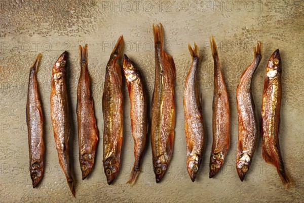 Cold smoked capelin, on the table, top view, no people