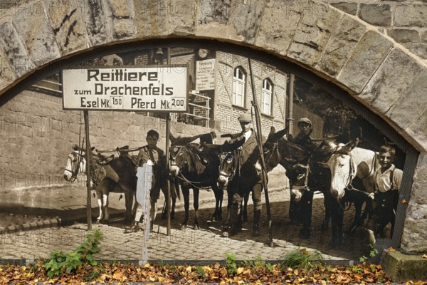 Old photo on the Eselsweg, the ascent to Drachenfels, Königswinter, Siebengebirge, North