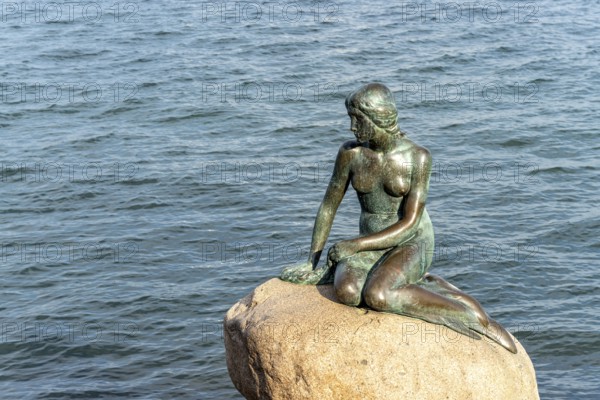 The famous bronze figure of The Little Mermaid - Den lille Havfrue - on the Langelinie waterfront
