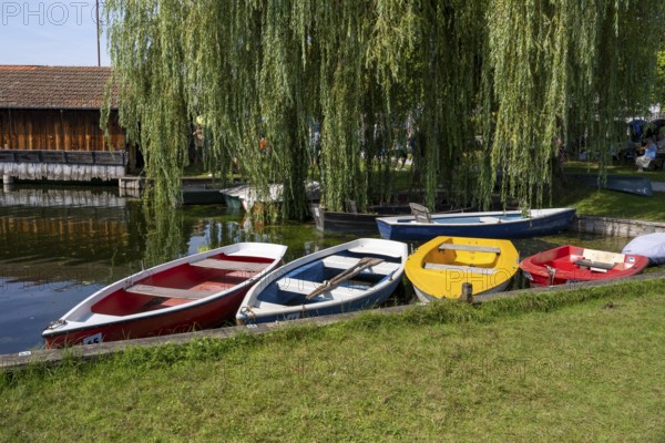 Rowing boats on the shore of Staffelsee, Seehausen, Upper Bavaria, Bavaria, Germany, Europe