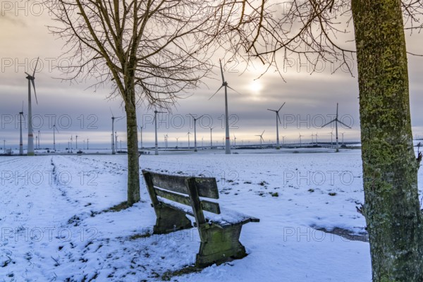 Wind farm, north of Lichtenau, self-proclaimed energy town, over 190 wind turbines and over 1200