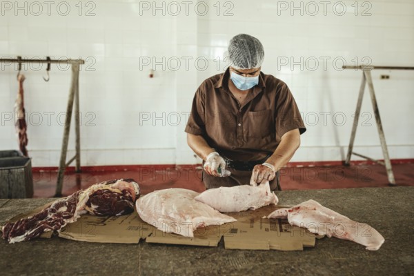Cutting up a slaughtered dromedary (camelus dromedarius), camel slaughter, Salalah slaughterhouse,