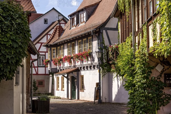 Magnificent restored half-timbered house, guest house at the Bienentor, decorated with geraniums,