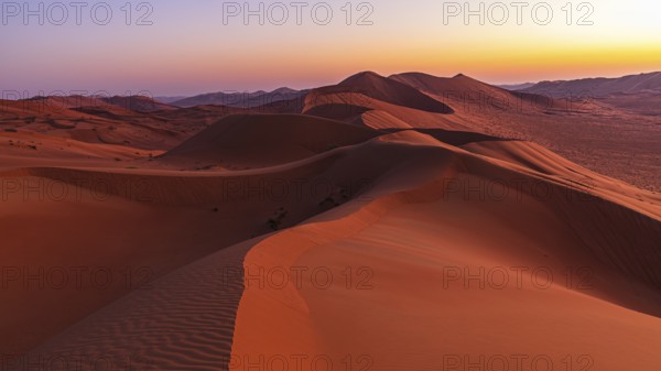 Wind-sculpted sand dunes at sunrise in the Rub al Khali desert, Dhofar province, Arabian Peninsula,