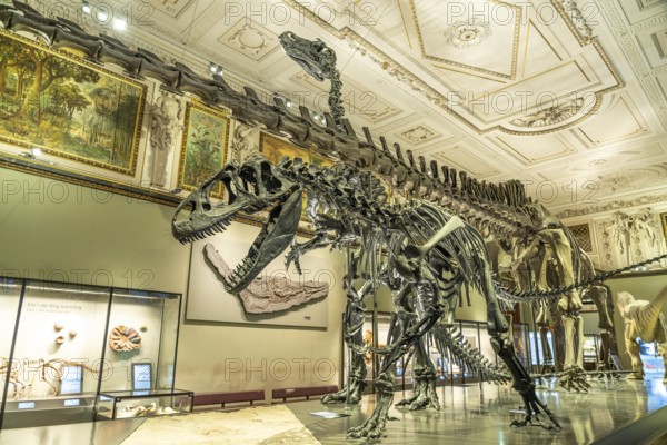 Dinosaur skeleton in the dinosaur hall of the Natural History Museum Vienna, Austria, riEurope,