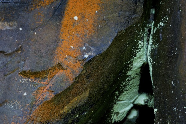 Rock covered with orange and green lichen, Mykines, Útoyggjar, Faroe Islands, Denmark, Europe