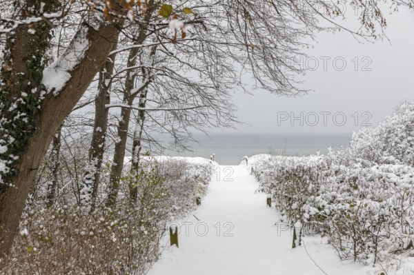 Snow-covered beach access and view of the calm Baltic Sea, Am Schwarzen bush, Poel Island,