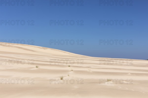 Lacka Dune on a sunny day with a blue sky in the Slowinski National Park, northern Poland on the