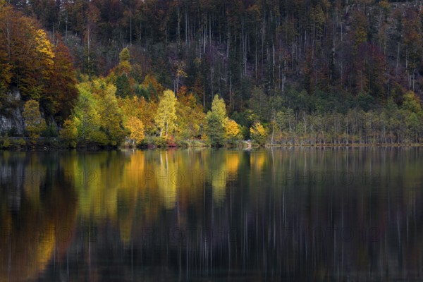Lake Almsee in autumn with a forest reflected in the lake