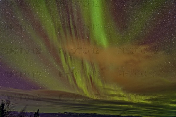 Aurora Borealis, Northern Lights, extreme starry sky, Yukon Territory, Canada, North America