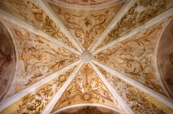 Interior view, ceiling of the monastery pharmacy of the Charterhouse, Iglesia de la Cartuja, Real