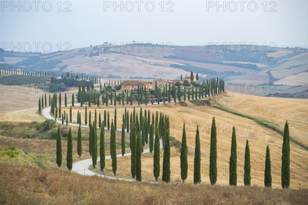 Typical Tuscan landscape in Crete Senesi with hills, trees, fields, cypresses and farm road in