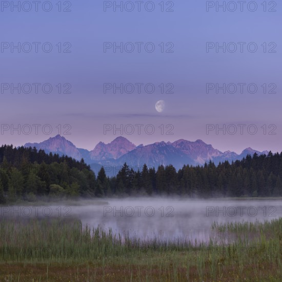 Quiet lake with mountain view in the morning mist, surrounded by forest, moon visible,