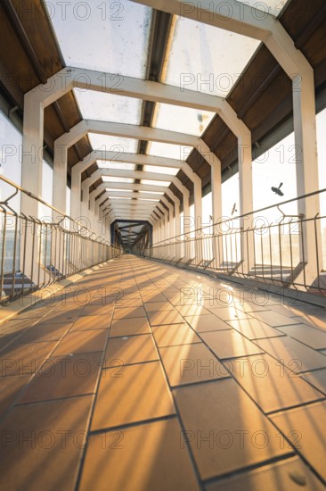 View through a sunny glass corridor with geometric design and flying birds, Sindelfingen railway