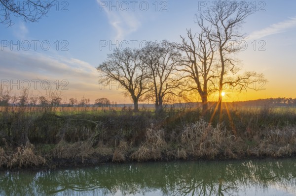 View across a ditch to the silhouettes of non-leafy trees at sunset, Kirchlinteln, Verden, Aller