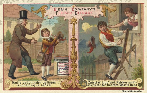 Picture series Sayings and Wisdom, Multa cadunt inter calicem supremaque labra, Between Lipp and