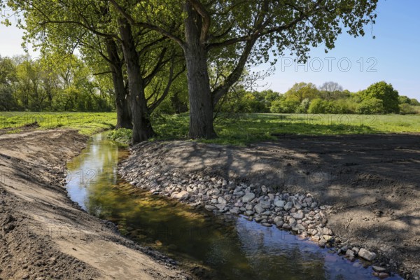 Haltern, North Rhine-Westphalia, Germany, Renaturalised, newly designed Gecksbach. Flood protection