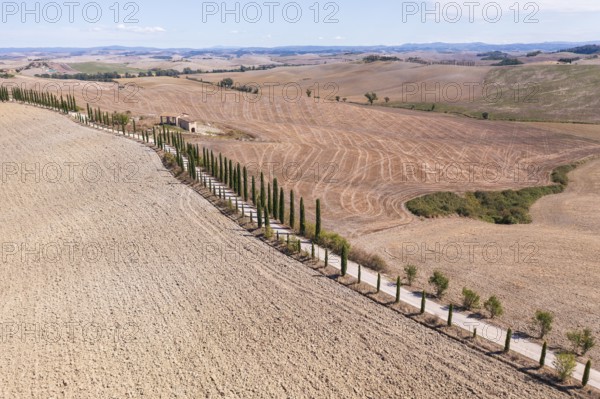 Aerial view of an avenue of columnar cypresses (Cupressus sempervirens) and hills near Siena,